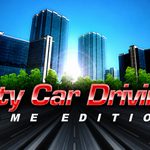 City Car Driving 100% Completed Save